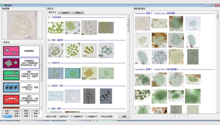 AlgaeC-P型多功能生物監(jiān)測(cè)儀浮游生物計(jì)數(shù)鑒定系統(tǒng)